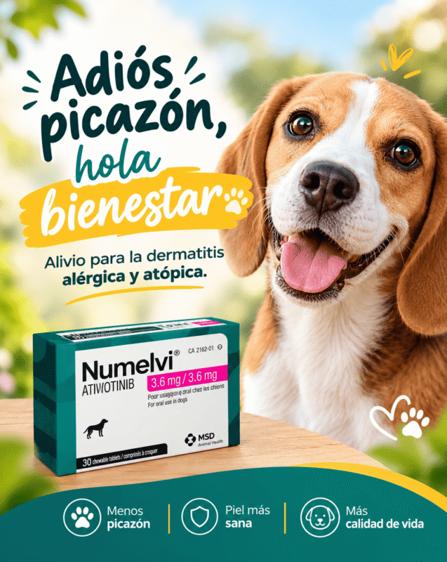 Producto Individual layout Productos veterinarios  | Envios a toda Guatemala