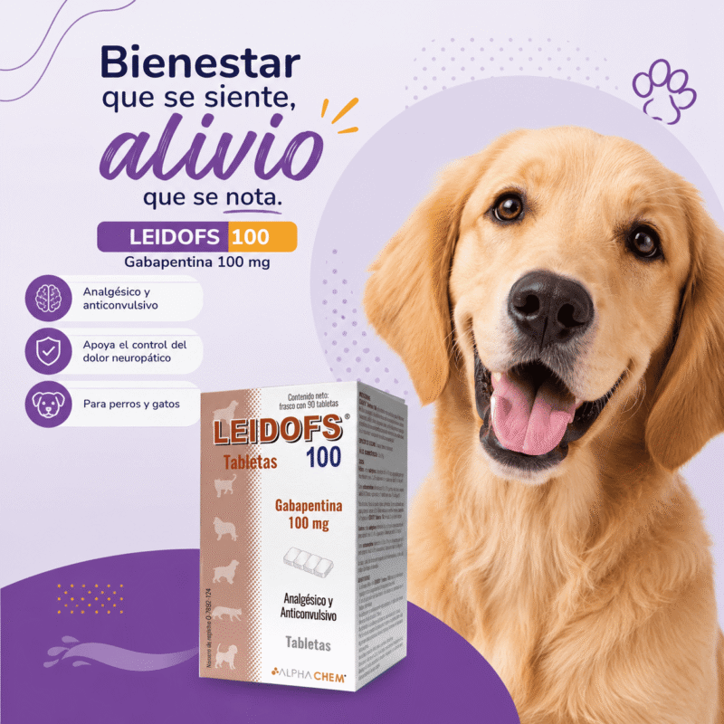 Producto Individual layout Productos veterinarios  | Envios a toda Guatemala