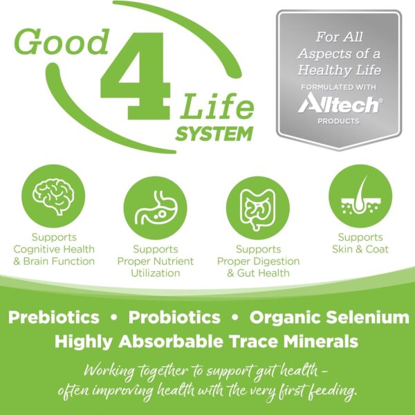 Nutrisource Weight Management Grain Free 4lb | Concentrado Sin Granos para Control de Peso en Perros AdultosAlimentosFarmacia.PET