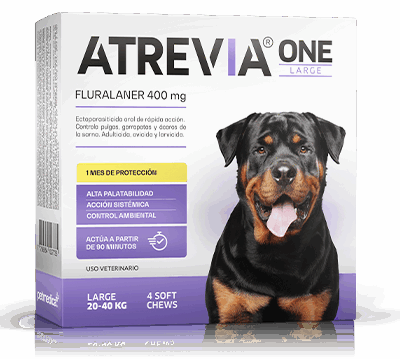 ATREVIA ONE LARGE - 1 TABLETA / 20 a 40 kg Fluralaner Tableta desparasitante Productos veterinarios Antipulgas | Envios a toda Guatemala