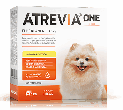 ATREVIA ONE MINI - 1 TABLETA / 2 a 4.5 kg Fluralaner Tableta desparasitante Productos veterinarios Antipulgas | Envios a toda Guatemala