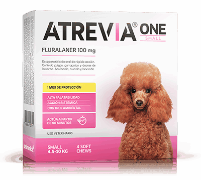 ATREVIA ONE SMALL - 1 TABLETA / 4.5 a 10 kg Fluralaner Tableta desparasitante Productos veterinarios Antipulgas | Envios a toda Guatemala