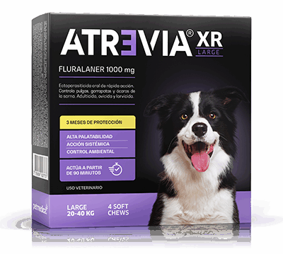 ATREVIA XR LARGE - 1 TABLETA /20 a 40 kg Fluralaner Tableta desparasitante Productos veterinarios Antipulgas | Envios a toda Guatemala