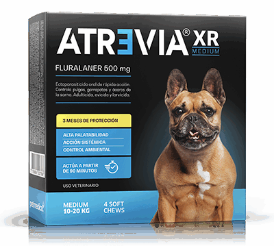 ATREVIA XR MEDIUM - 1 TABLETA / 10 a 20 kg Fluralaner Tableta desparasitante Productos veterinarios Antipulgas | Envios a toda Guatemala