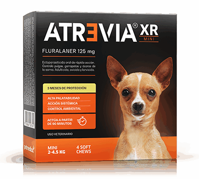 ATREVIA XR MINI - 1 TABLETA / 2 a 4.5 kg Fluralaner Tableta desparasitante Productos veterinarios Antipulgas | Envios a toda Guatemala