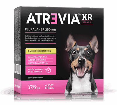 ATREVIA XR SMALL - CAJA 4 TABLETA / 4 a 10kg Fluralaner Tableta desparasitante Productos veterinarios Antipulgas | Envios a toda Guatemala