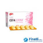 CEFALEXINA 500 HOLLIDAY X BLISTER 10 COMPRIMIDOS  Medicamentos Veterinarios Productos veterinarios Holliday | Envios a toda Guatemala