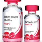 IMRAB 3 TF Productos veterinarios Imrab | Envios a toda Guatemala