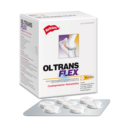 OL-Trans FLEX 7 21 Comprimidos | Suplemento articular para perros y gatos Productos veterinarios Holliday | Envios a toda Guatemala