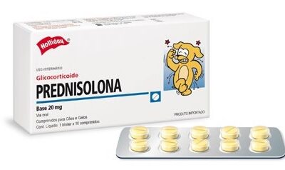 PREDNISOLONA 20 MG X CAJA 10 COMPRIMIDOS  Medicamentos Veterinarios Productos veterinarios Holliday | Envios a toda Guatemala