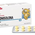 PREDNISOLONA 20 MG X 300 COMPRIMIDOS  Medicamentos Veterinarios Productos veterinarios Holliday | Envios a toda Guatemala