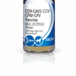 RECOMBITEK C6/CV Productos veterinarios Medicamentos Veterinarios | Envios a toda Guatemala