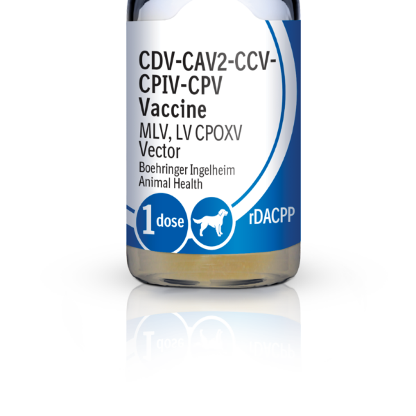 RECOMBITEK C6/CV Productos veterinarios Medicamentos Veterinarios | Envios a toda Guatemala