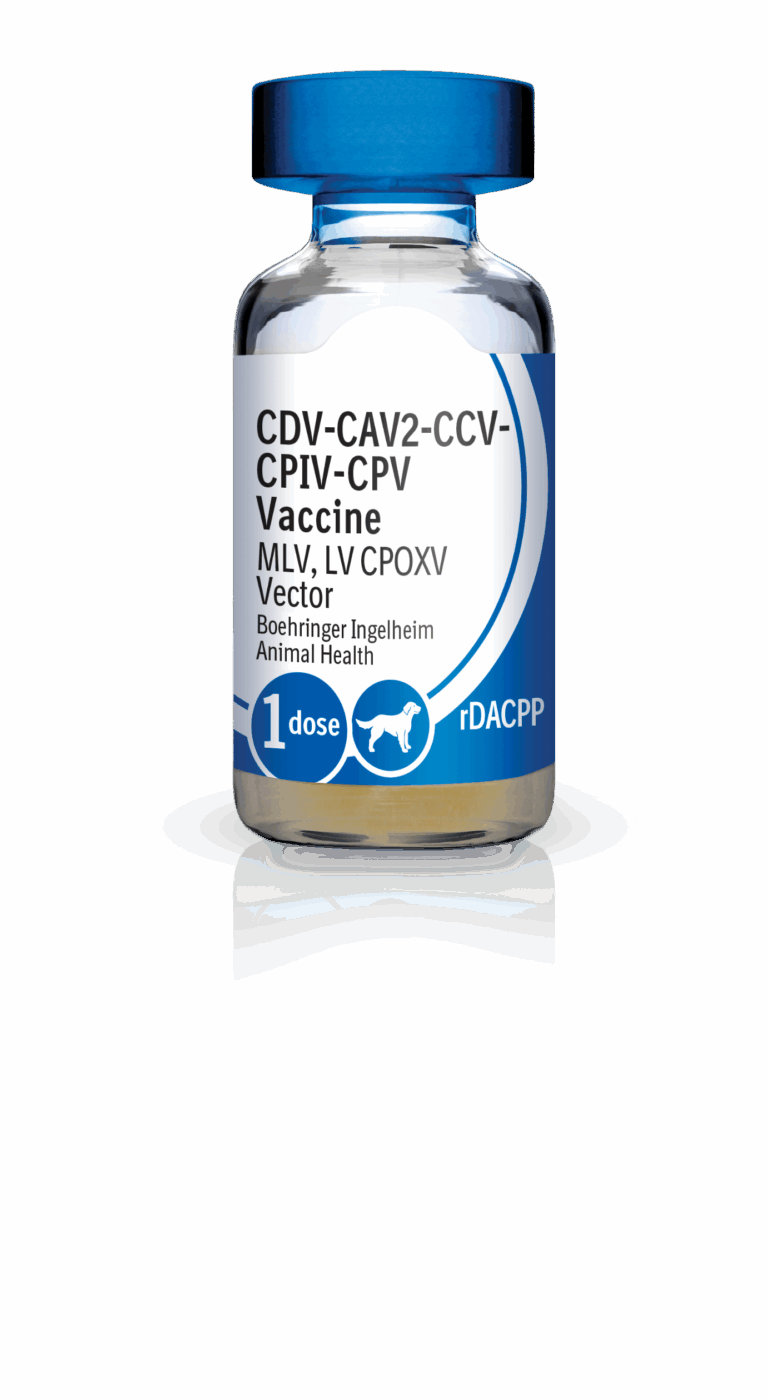 RECOMBITEK C6/CV Productos veterinarios Medicamentos Veterinarios | Envios a toda Guatemala