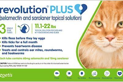 REVOLUTION  CAFE 11.1-22 LBS Productos veterinarios Medicamentos Veterinarios | Envios a toda Guatemala