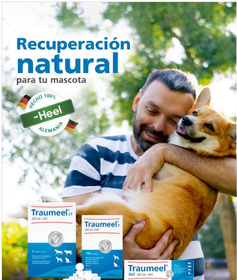 Traumeel Gel 50 g Heel Vet: alivio natural para tus mascotas 🐶🐱 Productos veterinarios Noticias veterinarias | Envios a toda Guatemala