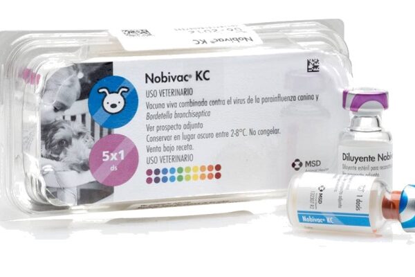 Vacuna Nobivac KC - Tos de las perreras Productos veterinarios Intervet MSD | Envios a toda Guatemala