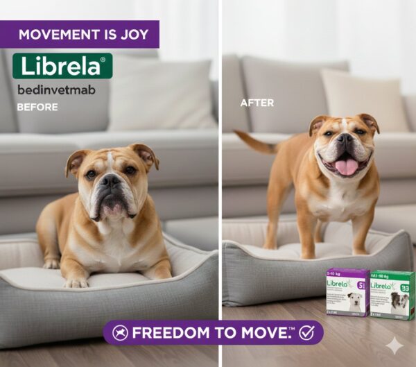 Librela 20 mg – Bedinvetmab – Inyección para el dolor articular en perros – Zoetis – Caja con 2 viales Productos veterinarios Librela | Envios a toda Guatemala