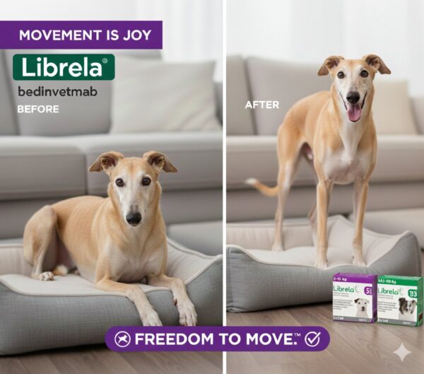 Librela 5 mg – Bedinvetmab – Inyección para el dolor articular en perros – Zoetis – Caja con 2 viales Productos veterinarios Librela | Envios a toda Guatemala