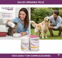Cystocure Forte Polvere 30 g   Suplemento Urinario en Polvo para Mascotas Productos veterinarios Candioli | Envios a toda Guatemala