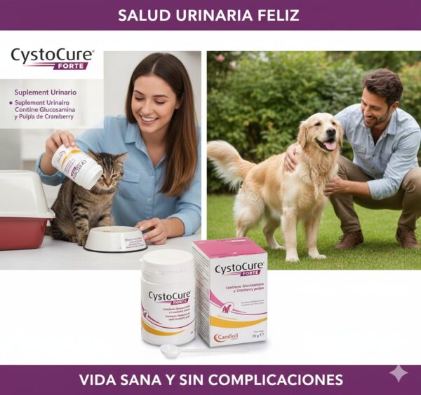 Cystocure Forte Polvere 30 g   Suplemento Urinario en Polvo para Mascotas Productos veterinarios Candioli | Envios a toda Guatemala