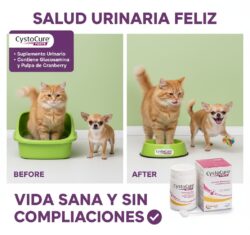 Cystocure Forte Polvere 30 g   Suplemento Urinario en Polvo para Mascotas Productos veterinarios Candioli | Envios a toda Guatemala