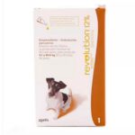 Revolution Café para Perros 11–22 lb | Control de Pulgas, Ácaros y Parásitos Internos Productos veterinarios Zoetis Veterinaria | Envios a toda Guatemala