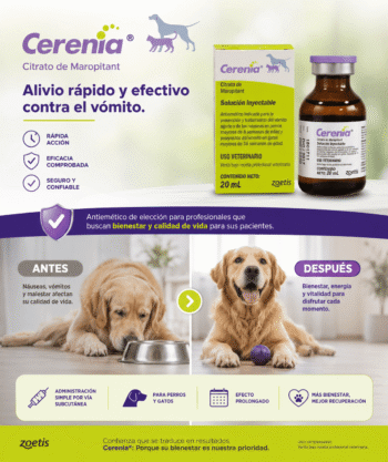 Cerenia Inyectable 10 mg/ml | Antiemético para Perros y Gatos | Vómitos y Náuseas | Zoetis Productos veterinarios Zoetis Veterinaria | Envios a toda Guatemala