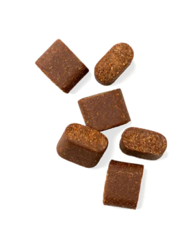 VET IQ Probiotic 60 tabletas Suplemento Multivitaminico para perros Productos veterinarios Vet IQ | Envios a toda Guatemala