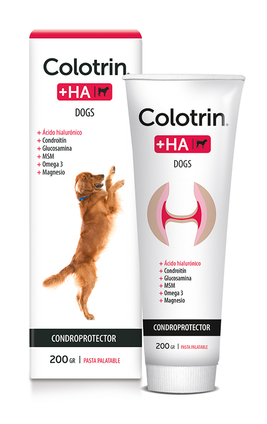Colotrin +HA 200 g   Suplemento Articular con Acido Hialuronico para Mascotas Productos veterinarios John Martin | Envios a toda Guatemala