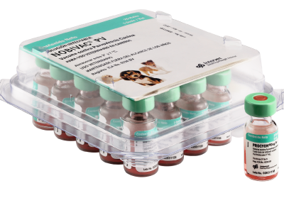 Canine PV - Vacuna contra el parvovirus Productos veterinarios Intervet MSD | Envios a toda Guatemala