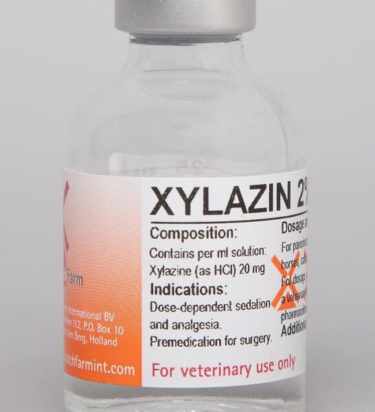 XILACINA 20 Vial Por 20 mL Productos veterinarios Medicamentos Veterinarios | Envios a toda Guatemala