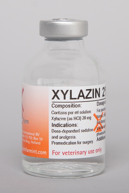 XILACINA 20 Vial Por 20 mL Productos veterinarios Medicamentos Veterinarios | Envios a toda Guatemala