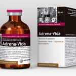 Adrena-Vida | Analeptin | Suplemento Veterinario para Estimulacion Metabolica y Respiratoria Productos veterinarios  | Envios a toda Guatemala
