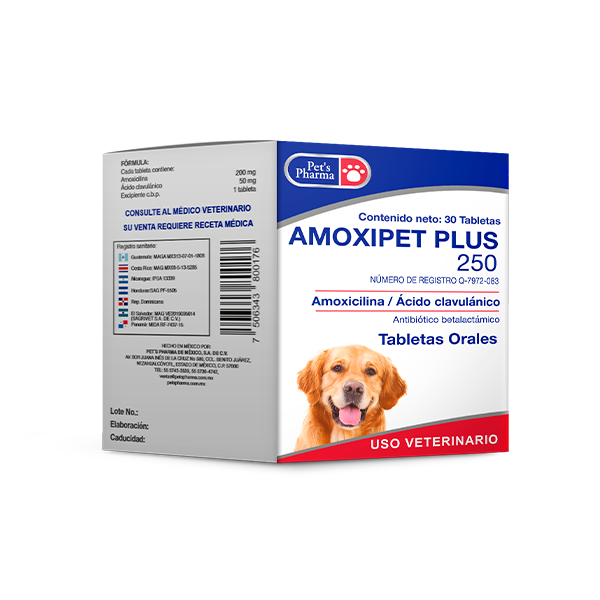 Amoxipet Plus 250 (Amoxicilina con Acido Clavulánico) 30 Tabletas Productos veterinarios Pets Pharma | Envios a toda Guatemala