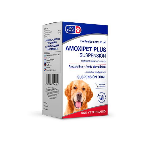 Amoxipet Suspensión (Amoxicilina con Acido Clavulánico) 60 ml Productos veterinarios Pets Pharma | Envios a toda Guatemala