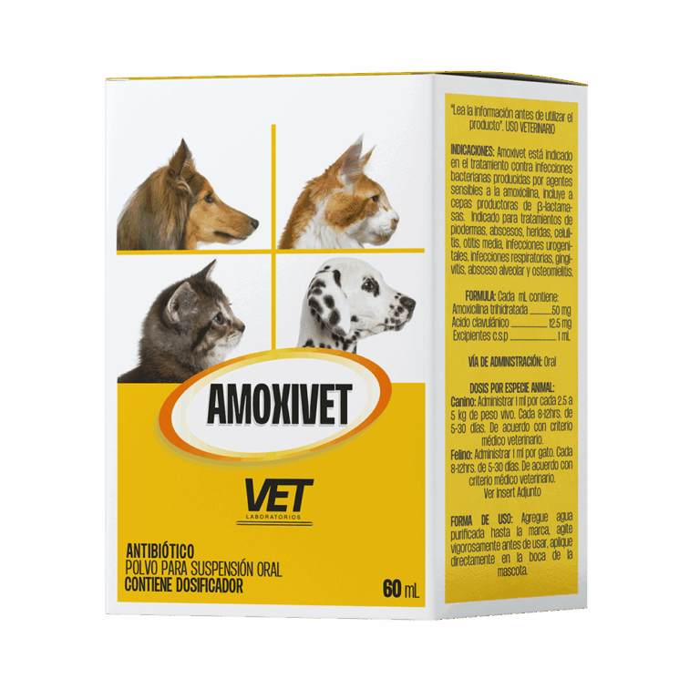 Amoxivet Polvo 60 ml indicado para tratamientos de 
piodermas, abscesos, heridas, celulitis, 
otitis media Productos veterinarios VET | Envios a toda Guatemala