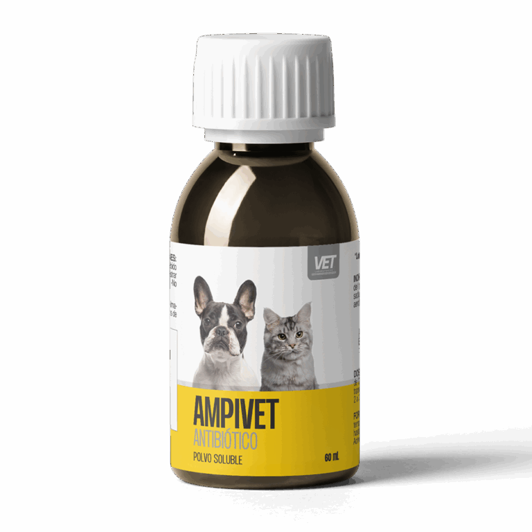 Ampivet Antibiotico Polvo Oral 250 mg coadyuvante en afecciones del 
tracto respiratorio Productos veterinarios VET | Envios a toda Guatemala