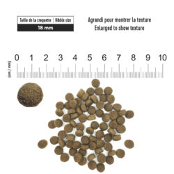 1ST CHOICE   DOG FOOD   ADULT   SKIN AND COAT MEDIUM AND LARGE BREEDS BOLSA 18 KG Productos veterinarios 1ST Choice | Envios a toda Guatemala