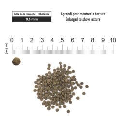 1ST CHOICE   DOG FOOD   ADULT   SKIN AND COAT TOY AND SMALL BOLSA 2 KG. Productos veterinarios 1ST Choice | Envios a toda Guatemala