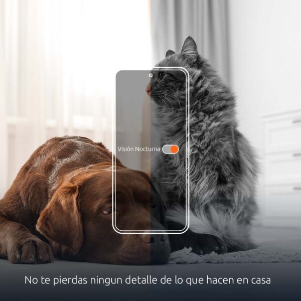 Dispensador Nexxt inteligente para mascotas con cámara Nexxt NHA-P610 Productos veterinarios Nexxt | Envios a toda Guatemala