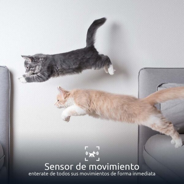 Dispensador Nexxt inteligente para mascotas con cámara Nexxt NHA-P610 Productos veterinarios Nexxt | Envios a toda Guatemala