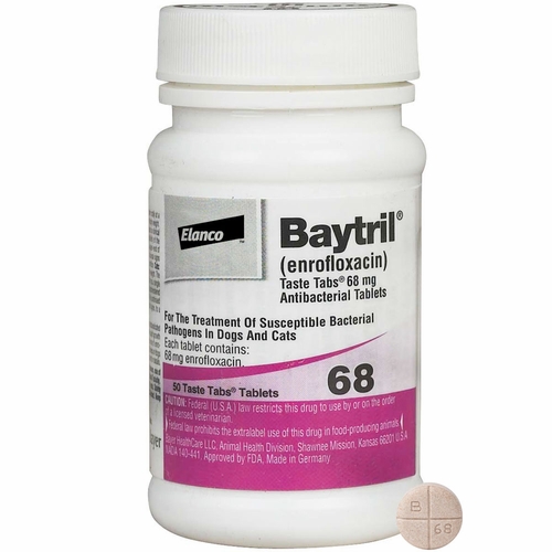 BAYTRIL TAB 50 MG 30 TAB Productos veterinarios Bayer | Envios a toda Guatemala