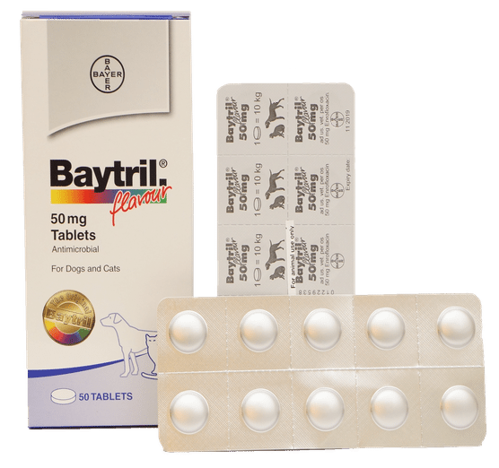 BAYTRIL TAB 50 MG 30 TAB Productos veterinarios Bayer | Envios a toda Guatemala