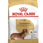 BHN DACHSHUND 1.5K Concentrado para perros Royal Canin Productos veterinarios Royal Canin | Envios a toda Guatemala