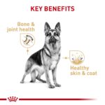 BHN GERMAN SHEPHERD 11K Concentrado para perros Royal Canin Productos veterinarios Royal Canin | Envios a toda Guatemala
