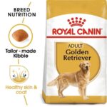 BHN GOLDEN RETRIEVER 12K Concentrado para perros Royal Canin Productos veterinarios Royal Canin | Envios a toda Guatemala
