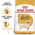 BHN LABRADOR 12K Concentrado para perros Royal Canin Productos veterinarios Royal Canin | Envios a toda Guatemala