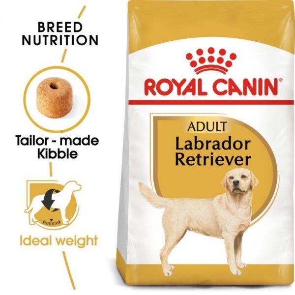 BHN LABRADOR 12K Concentrado para perros Royal Canin Productos veterinarios Royal Canin | Envios a toda Guatemala