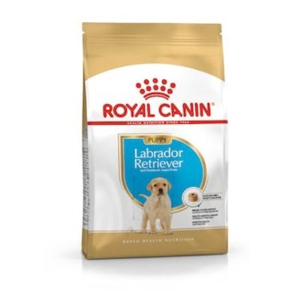 BHN LABRADOR 3K Concentrado para perros Royal Canin Productos veterinarios Royal Canin | Envios a toda Guatemala